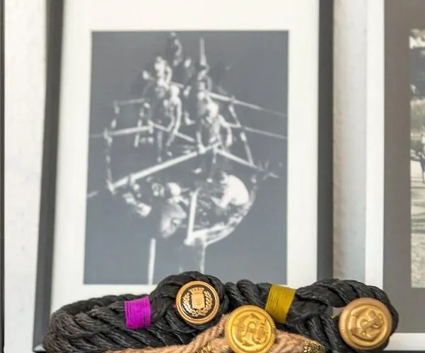 Narancin 3* 特罗吉尔